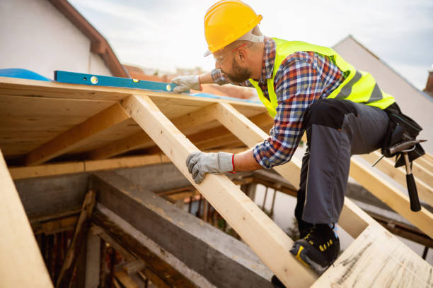 Best Roof Gutter Cleaning  in Miles City, MT
